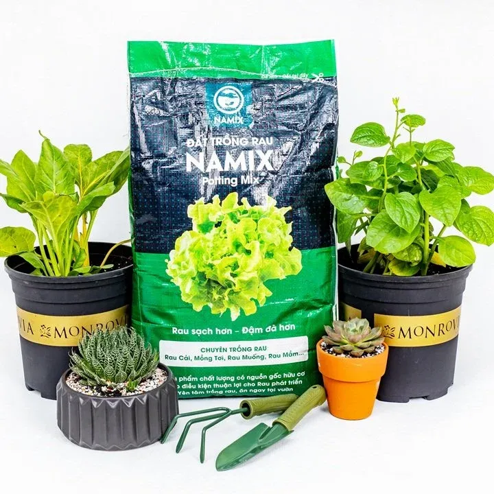 Chậu đất trồng rau Namix, phù hợp để trồng cải xoong Nhật