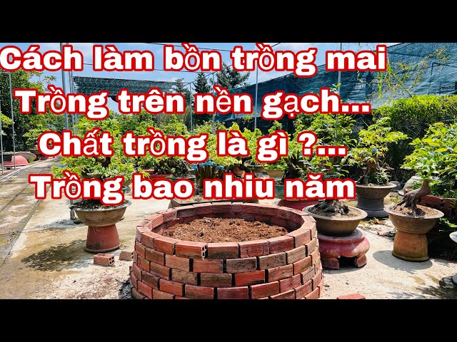 Cách Làm Bồn Trồng Cây Trên Sân Thượng Đạt Hiệu Quả Cao Nhất
