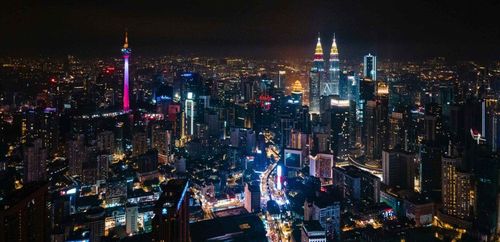 Cẩm Nang Chi Tiết: Cách Trồng Hoa Đồng Tiền Lùn Cho Vườn Nhà Nở Hoa Rực Rỡ