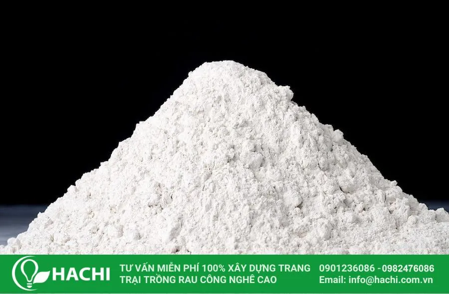 Sử dụng vôi bột giảm phèn cho đất trước khi trồng rau