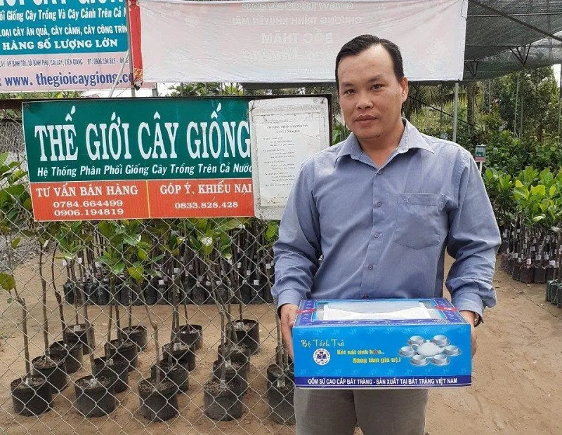 Giống cây mít thái chất lượng tại Thế Giới Cây Giống, nền tảng cho cách chăm sóc cây mít thái mới trồng hiệu quả