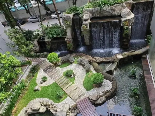 Cách Trồng Cây Đại Phú Gia Chuẩn Kỹ Thuật Và Chăm Sóc Bền Vững