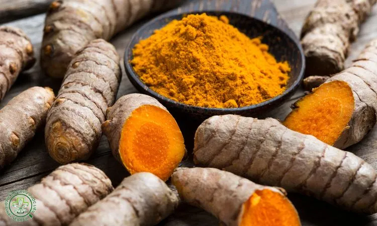 Quy trình thu hoạch và xử lý củ nghệ vàng