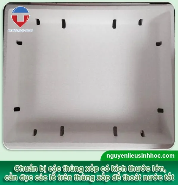 Thùng xốp cao có đục lỗ thoát nước để trồng cây dâu tây