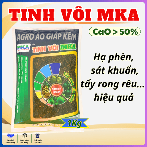 Cách Để Trồng Giá Đỗ Thương Phẩm Bằng Nước Vôi Trong Đạt Năng Suất Cao