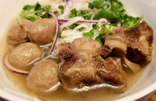 Cách Trồng Nha Đam Trong Nước Đúng Kỹ Thuật Cho Người Mới Bắt Đầu