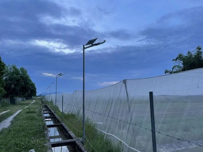 Toàn cảnh bên ngoài của mô hình nhà lưới mái bằng sau khi hoàn tất xây dựng