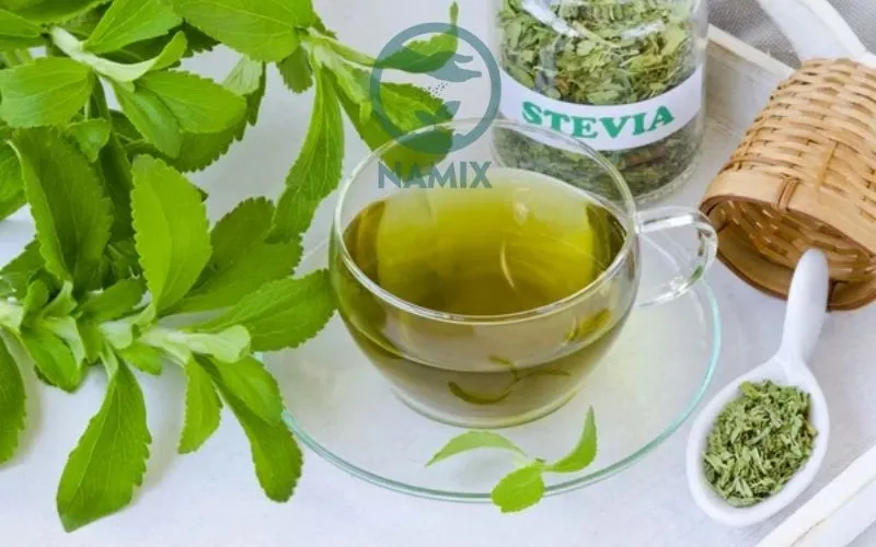 Trà cỏ ngọt đã sấy khô và lá cỏ ngọt tươi chuẩn bị pha trà