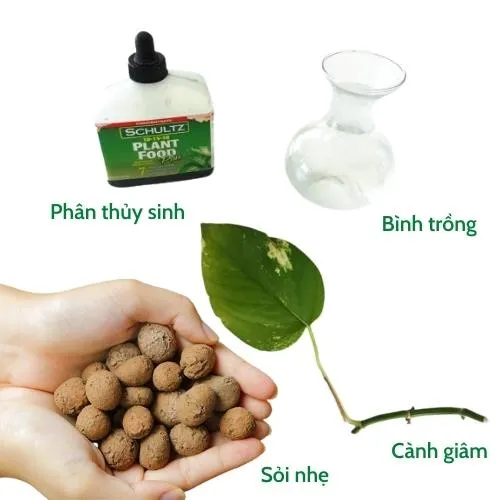 Chuẩn bị đầy đủ vật dụng khi trồng trầu bà bằng cành giâm