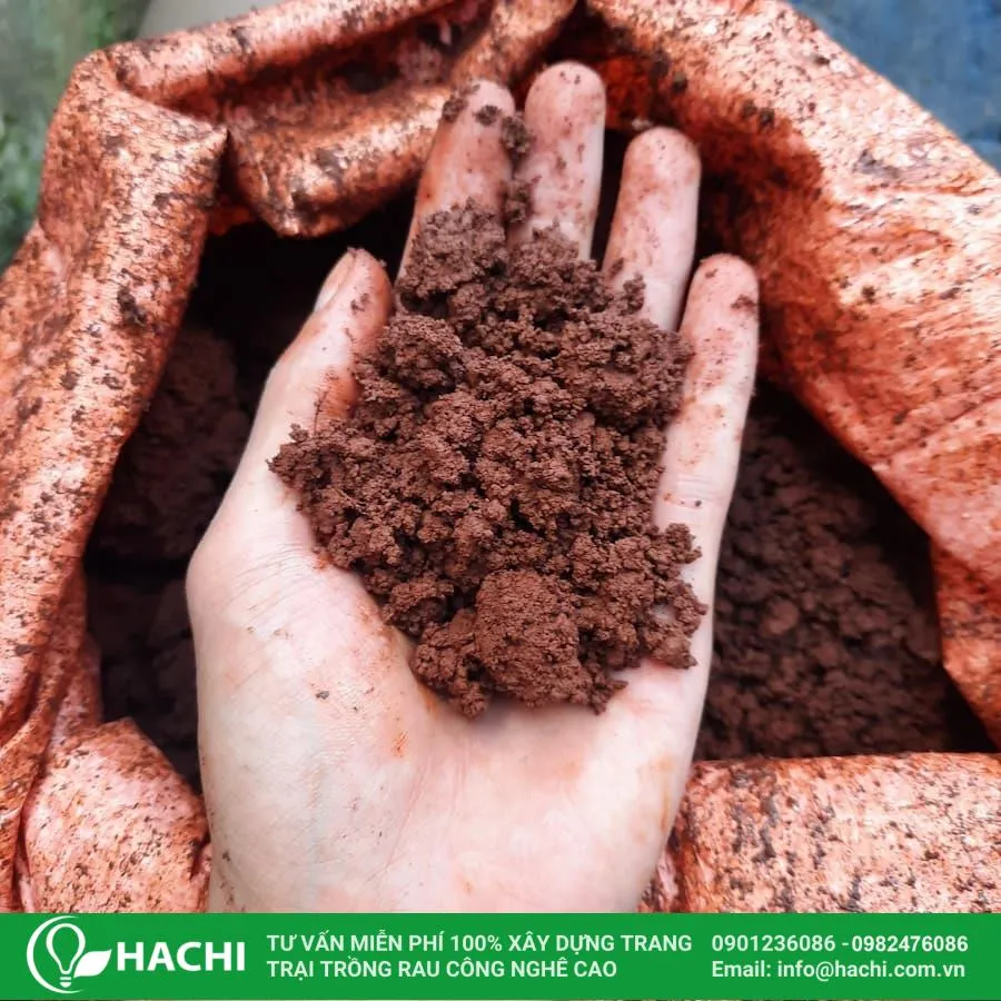 Bạn có thể trộn thêm đất thịt hoặc đất cát để cải thiện độ tơi xốp cho đất sét