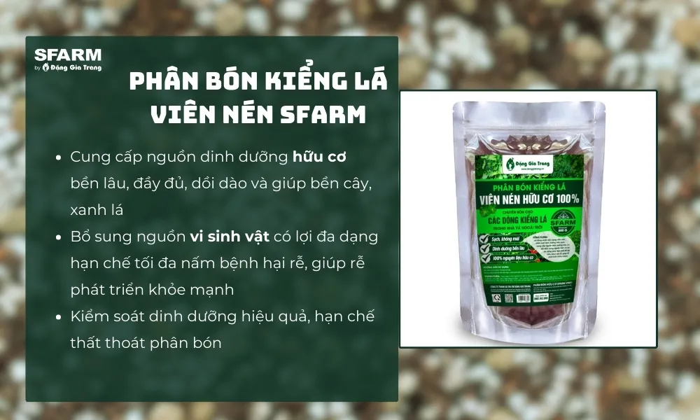 Phân bón phù hợp để chăm sóc cây