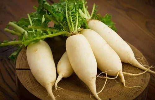 Cách Trồng Củ Cải Trắng Trong Thùng Xốp Đạt Năng Suất Cao Nhất