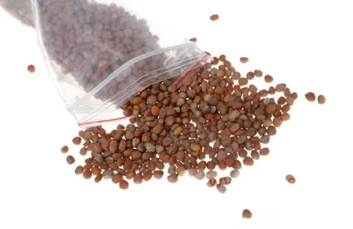 Cách Trồng Củ Cải Trắng Trong Thùng Xốp Đạt Năng Suất Cao Nhất