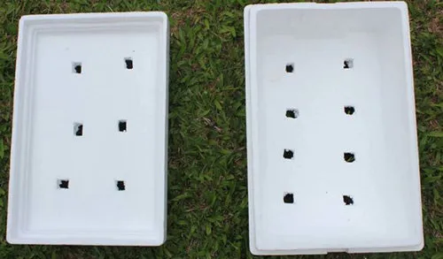 Cách Trồng Củ Cải Trắng Trong Thùng Xốp Đạt Năng Suất Cao Nhất