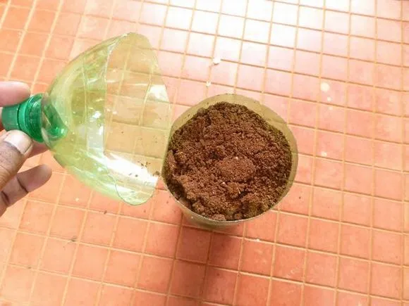 Hình ảnh đang đổ giá thể (đất trồng) vào trong chai nhựa, xen kẽ với việc đặt củ hành