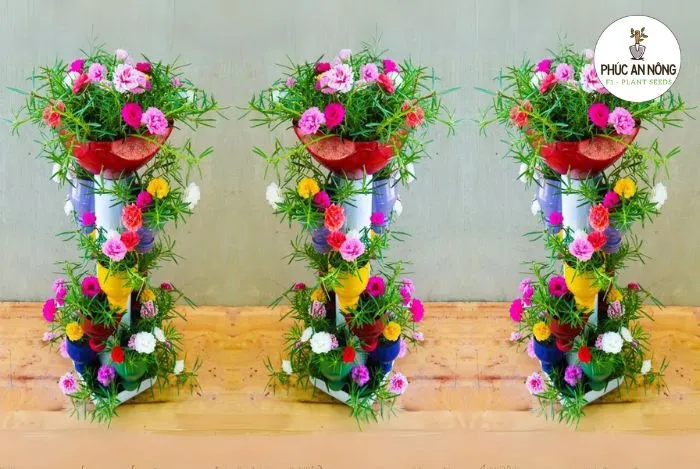 Cách trồng hoa mười giờ trong tháp chậu đẹp sáng tạo