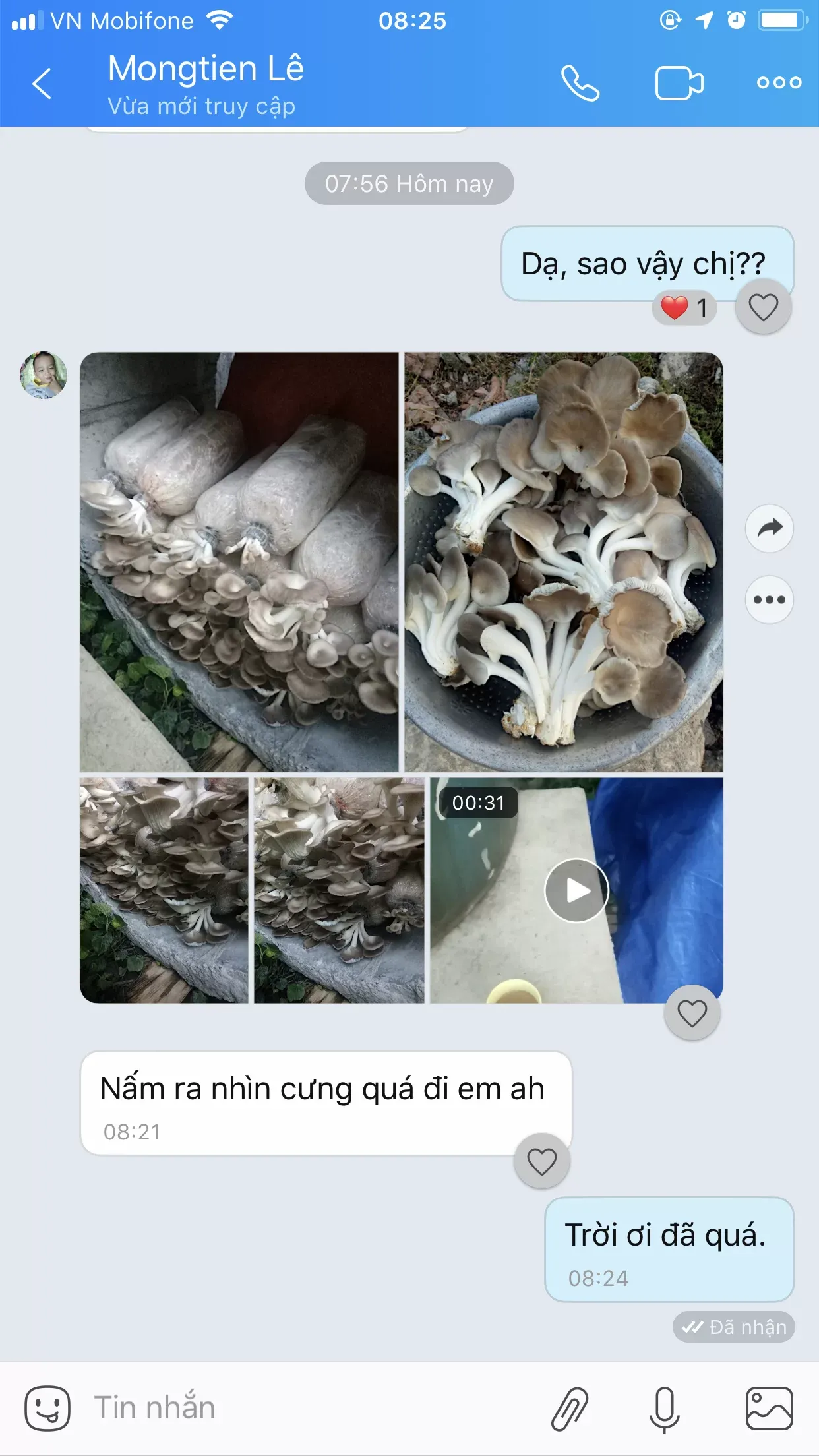 trong-nam-bao-ngu-xam-tai-nha