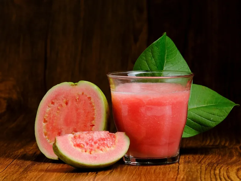 Các loại sâu bệnh thường gặp trên rau thơm huế và cách phòng trừ