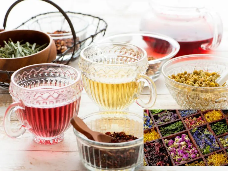 Lợi ích sức khỏe và ẩm thực của rau thơm huế