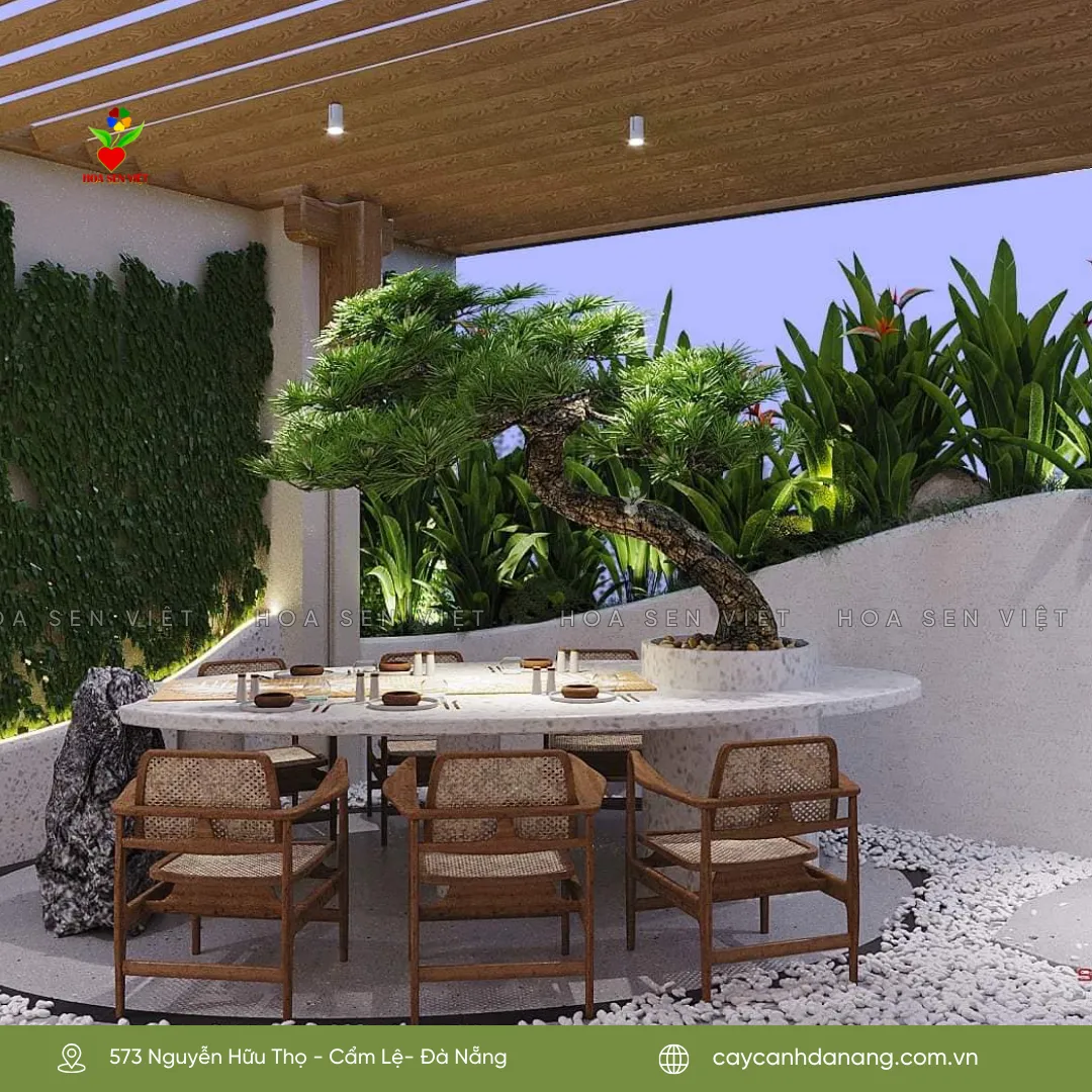 Tung Kim Cuong Da Nang