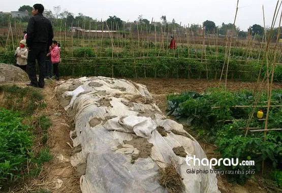 Quang cảnh một khu vực ủ phân hữu cơ quy mô lớn tại nông trại