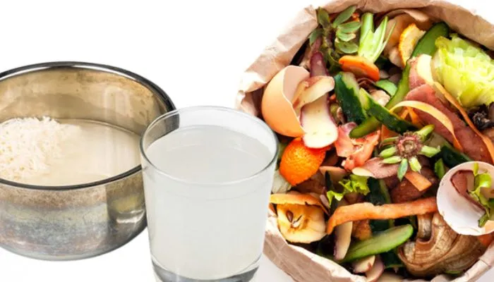 Ủ rác với nước vo gạo