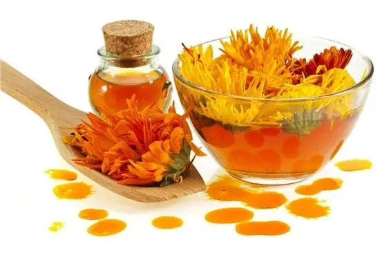 Lợi ích sức khỏe từ trà hoa vạn thọ Pháp