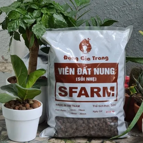 Viên đất nung SFARM dùng làm giá thể để trồng mầm lan đậu Hà Lan