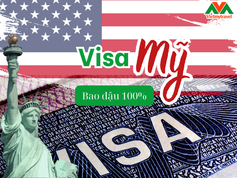 Hướng Dẫn Chi Tiết A-Z Cách Trồng Đào Trên Chậu Đón Tết Sống Khỏe