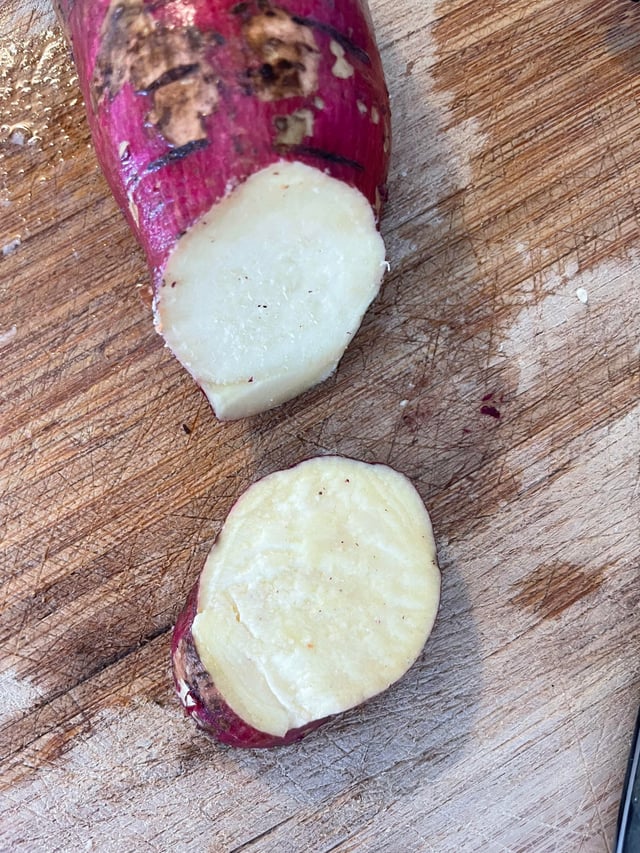 Khoảng Cách Trồng Hoa Hướng Dương: Hướng Dẫn Kỹ Thuật Chi Tiết Cho Từng Loại Giống