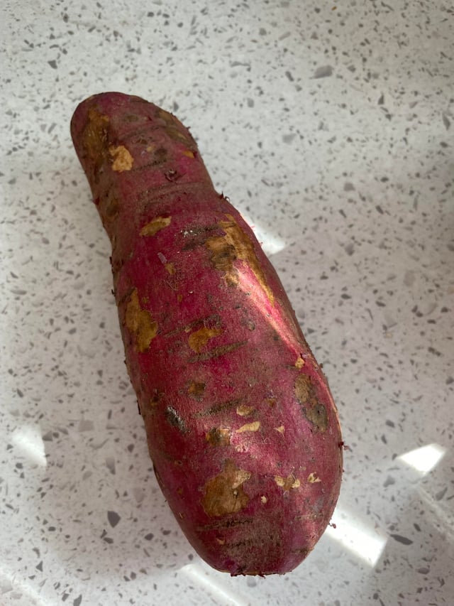 Khoảng Cách Trồng Hoa Hướng Dương: Hướng Dẫn Kỹ Thuật Chi Tiết Cho Từng Loại Giống