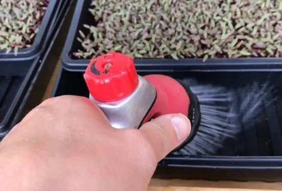 Phương pháp tưới nước phun sương cho các loại rau mầm trồng ngoài trời