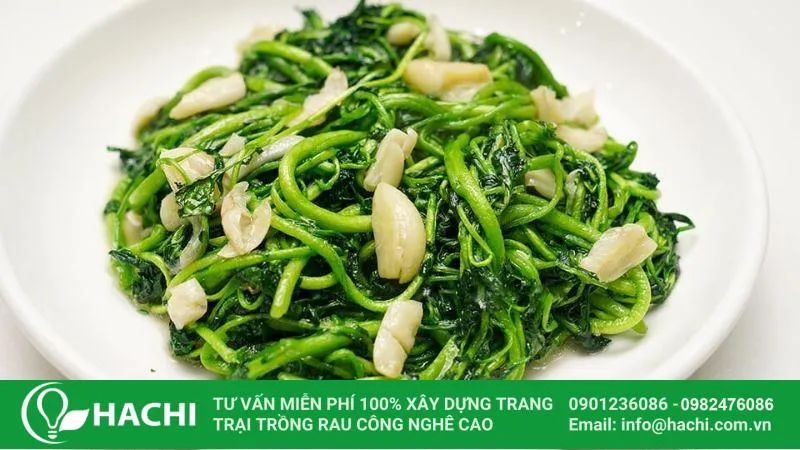 Món ăn ngon từ xà lách xoong Nhật, thể hiện thành quả của việc trồng trọt