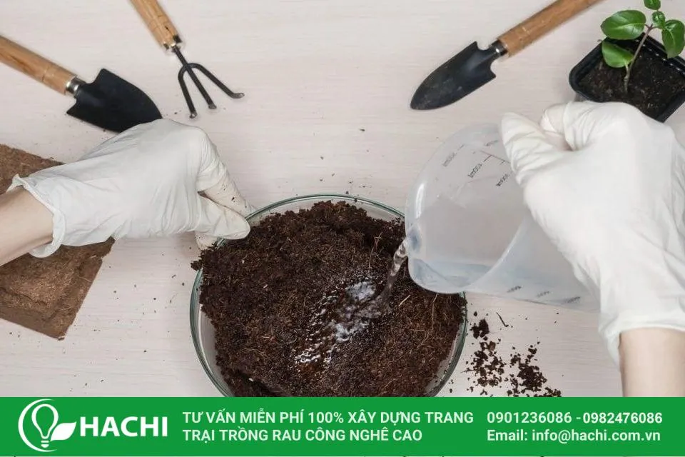 Ngâm xơ dừa với nước để loại bỏ Tanin