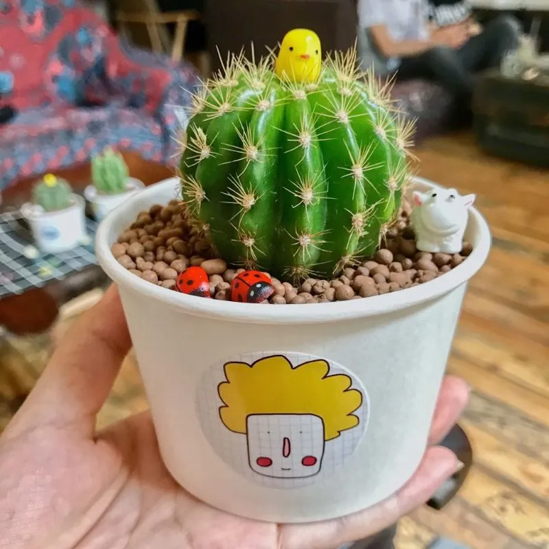 Xương rồng bí xanh