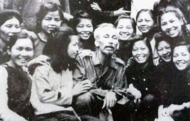 Cách Trồng Lan Thiên Nga Đơn Giản, Ra Hoa Sai Và Siêu Đẹp