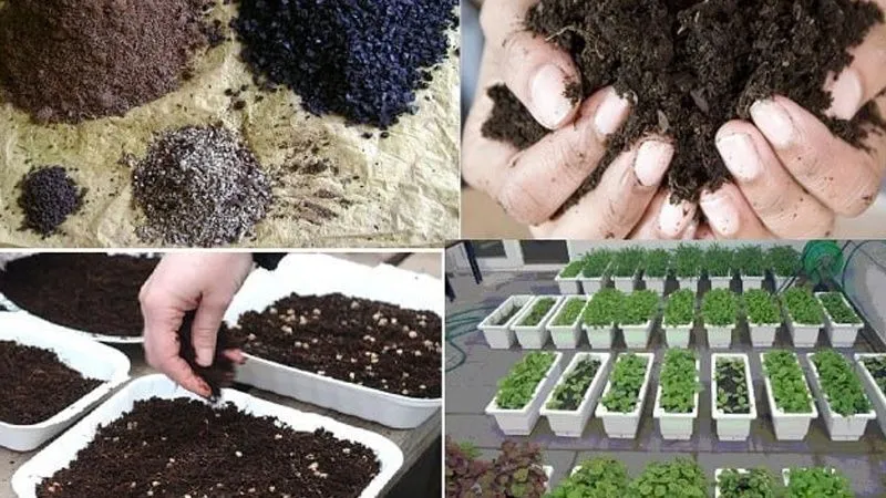 Quá trình trộn đất trồng rau theo đúng tỷ lệ