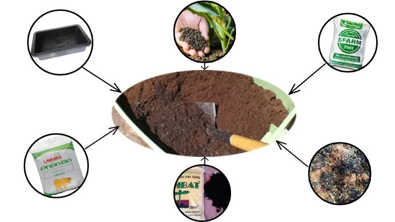 Các nguyên liệu để chuẩn bị cho việc trộn đất