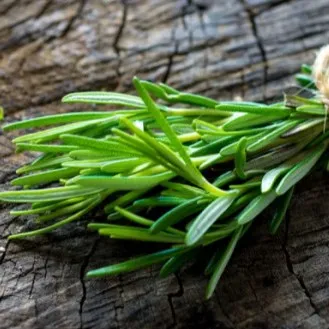 Cách Trồng Cây Hương Thảo Trong Nhà: Hướng Dẫn Chi Tiết Từ A Đến Z