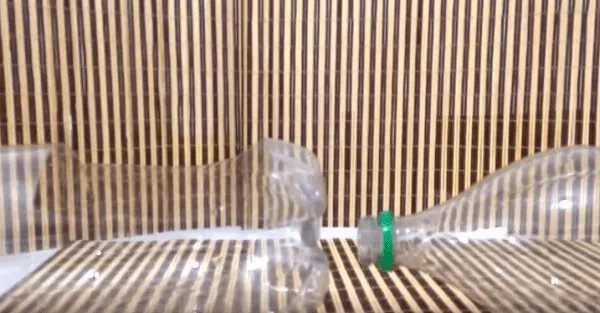 Tưới nước cho tháp trồng rau nhiều tầng từ chai nhựa