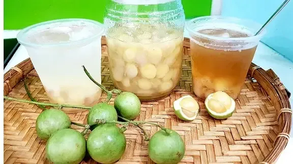 Thu hoạch dâu da xanh đúng thời điểm giúp kéo dài thời gian bảo quản