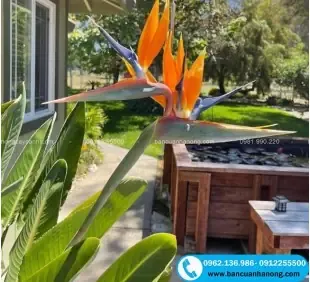 Khu vực vườn chụp ảnh cưới có nhiều cây xanh bóng mát, áp dụng cách trồng cây lá lụa trong chậu