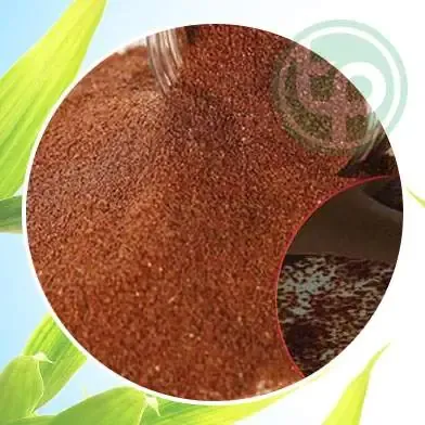 Quy trình xử lý hạt giống đình lịch trước khi gieo trồng