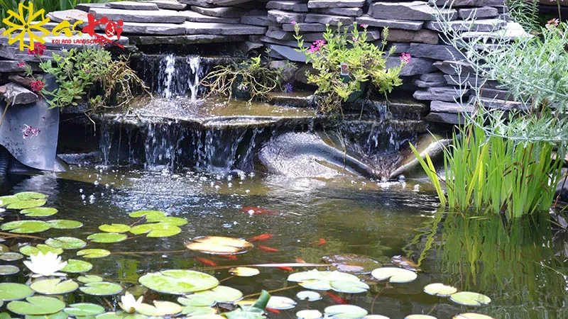 Thiết bị sục khí và đài phun nước giúp cung cấp oxy, hỗ trợ trồng hoa súng trong hồ cá