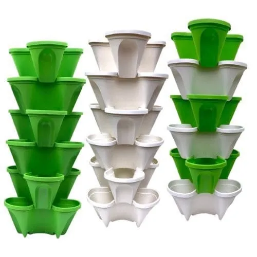 Chậu ươm có kích thước phù hợp và có lỗ thoát nước cơ bản