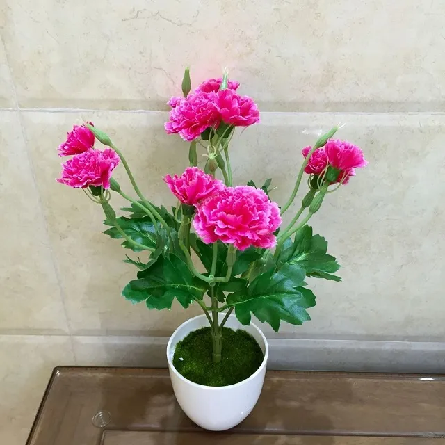 Chậu Hoa Phăng Để Bàn