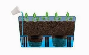Sơ đồ minh họa cấu trúc của Earthbox Planter, một loại chậu SIP lý tưởng cho việc trồng ngò gai