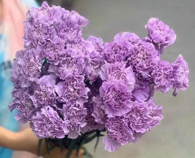 Ý nghĩa Hoa Phăng Tím