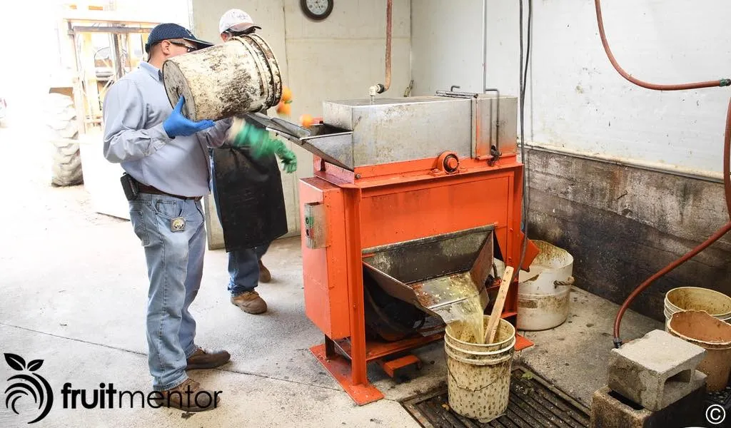 Máy Chiết Xuất Hạt Cam Quýt Đảm Bảo Độ Chính Xác Và An Toàn