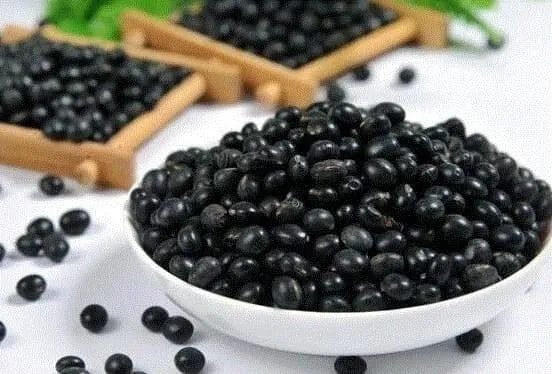 Quá trình thu hoạch những quả đậu đen đã chín và khô